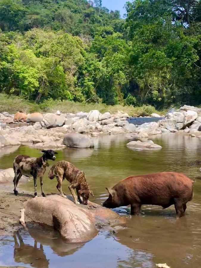 La Ponderosa Reserve Buritaca Zewnętrze zdjęcie