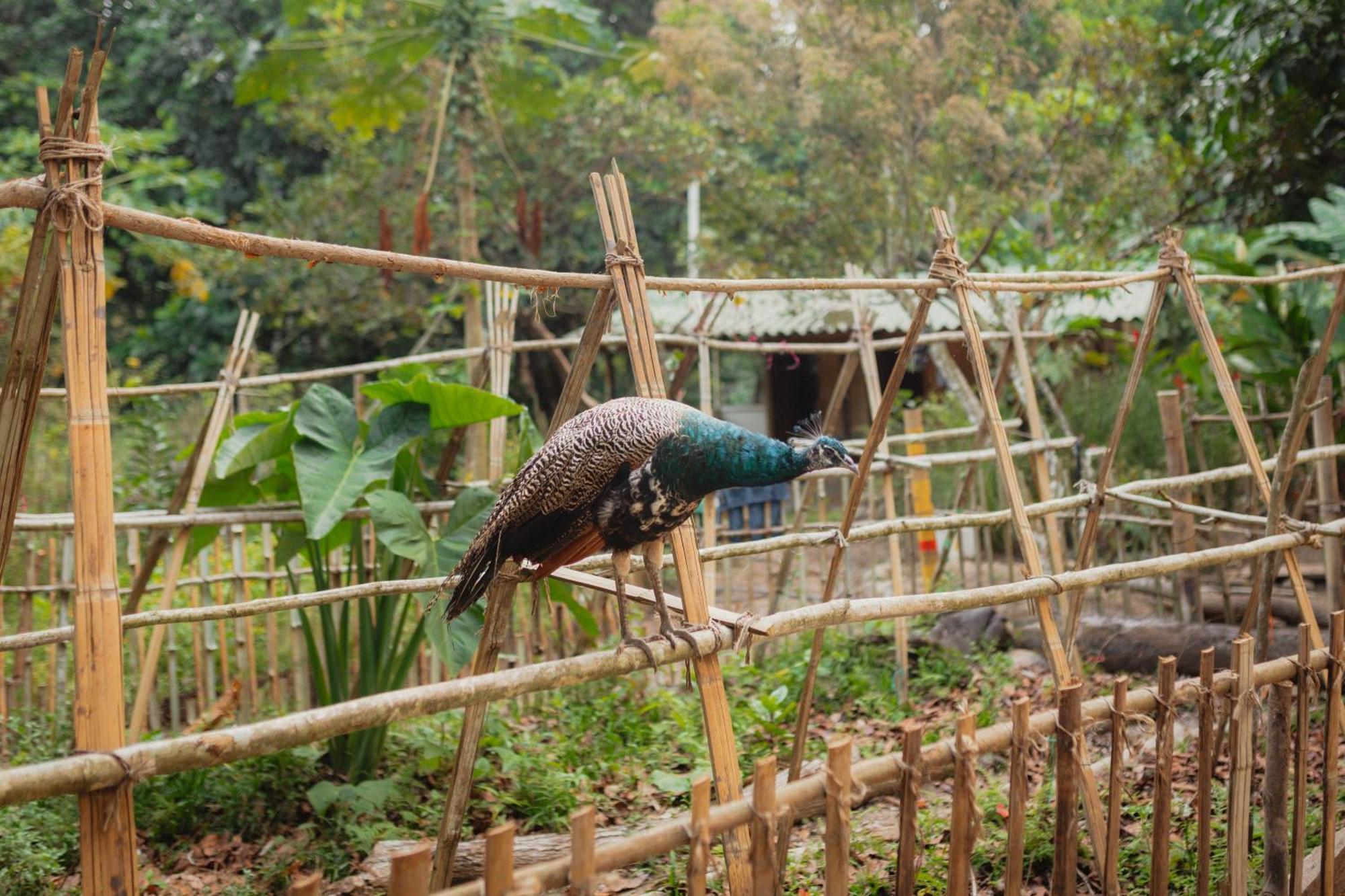 La Ponderosa Reserve Buritaca Zewnętrze zdjęcie